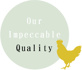 Our Impeccable Quality