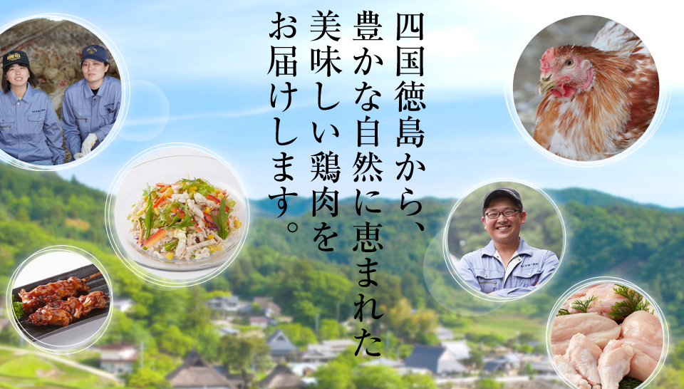 四国徳島から、豊かな自然に恵まれた美味しい鶏肉をお届けします。