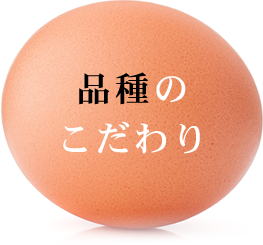 Our Selective Breeds