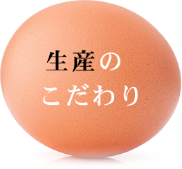 Our Impeccable Quality